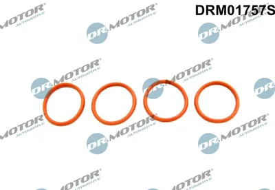 Produktbild von DR.MOTOR AUTOMOTIVE DRM01757S Dichtungssatz Ansaugkrümmer passend für PEUGEOT 207 (WA, WC) 206 Schrägheck (2A/C) 207 SW (WK) 206+ Schrägheck (2L, 2M)