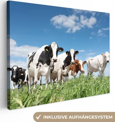 Produktbild von MuchoWow® - Leinwandbilder - Kühe - Landleben - Weide - Natur - Tiere, Wandbild, Wanddeko Bilder Wohnzimmer, 80x60 cm
