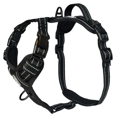 Produktbild von Solidchoice – Hundeharnschutz, Schwarz, Größe M