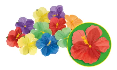 Produktbild von Hawaiiische Hibiscus Blüten 24 Stück