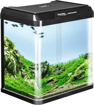 Image de Kruger Meier Como aquarium 16 l - kit aquarium noir
