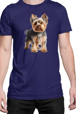 Produktbild von Herren T-Shirt Dogs Breeds Yorkshire Terrier Dog Breed 005, Man L / Dunkelblau