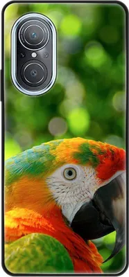 Produktbild von König Design Hülle kompatibel mit Huawei nova 9 SE Kunststoff Soft Handyhülle - Handy Case Papagei