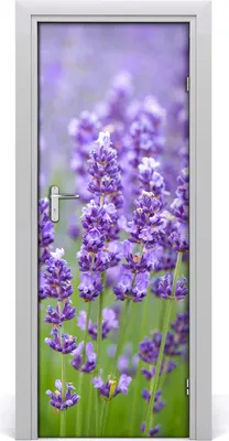 Produktbild von Tulup Türaufkleber 75x205 cm Dekorative Aufkleber Selbstklebend Wasserdichte Tapete Abnehmbar Schlafzimmer Wohnzimmer Wohnkultur - Lavendelfeld