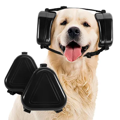 A golden retriever dog wearing black earmuffs, with two additional black earmuff components in the foreground.