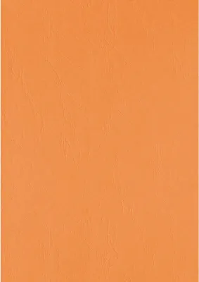 Immagine prodotto di LMG UMBR300-OR LMG Kart.Rückw.Leder Orange