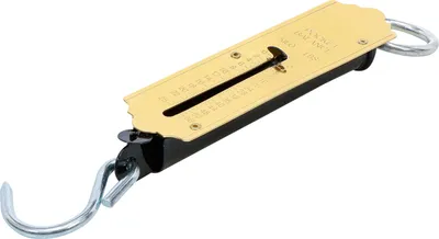Immagine prodotto di Bilancia tascabile BGS DIY fino a 25 kg