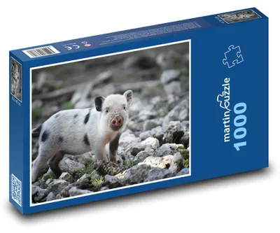 Zdjęcie produktu dla Puzzle 1000 Prosiaczek na Kamieniach - martinpuzzle