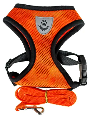 Produktbild von Verstellbares Katzengeschirr mit Leine, ausbruchsicher, atmungsaktives Mesh-Material, Orange (M)