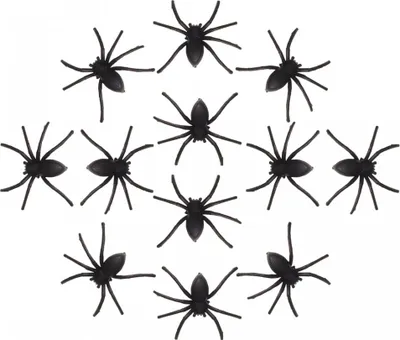 Produktbild von Halloween Spinnen als Ungeziefer Dekoration 12 St.