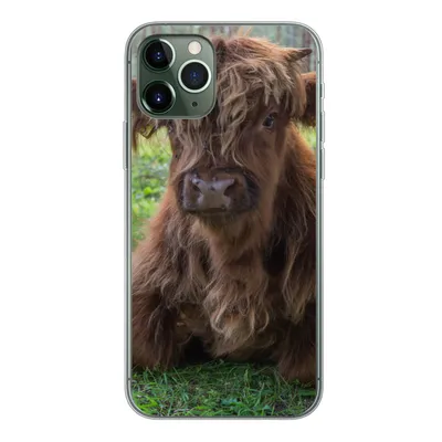 Produktbild von MuchoWow® Handyhülle Schutzhülle Hülle für iPhone 11 Pro Schottischer Highlander - Kröte - Tiere Silikon Softcase Handy Hülle - Handy
