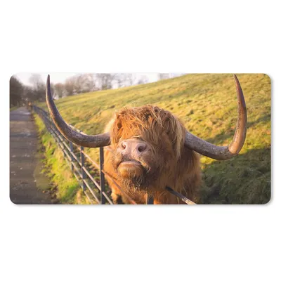 Produktbild von MuchoWow® Schreibtischunterlage Scottish Highlander - Zaun - Gras 80x40 cm - XXL Mauspad - Gaming Mauspad