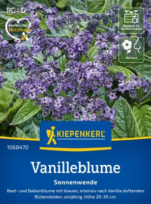 Produktbild von Kiepenkerl Vanilleblumensamen Sonnenwende Heliotropium arborescens 60 Pflanzen