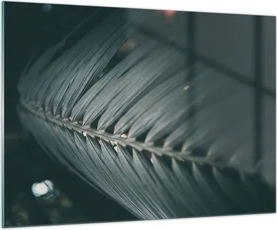 Produktbild von Bilder auf glas - Einteilig - Blatt Palme exotisch - 100x70cm - Glasbilder - Wandbilder - Bilder - zum Aufhängen bereit - Wanddekoration aus Glas - Glas Bilder - Wandbild auf Glas - GAA100x70-4907