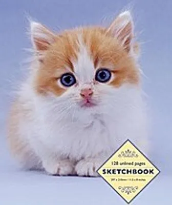 Obrázok produktu pre Sketchbook: Kitten