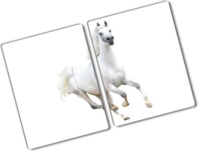 Produktbild von Tulup Glas Herdabdeckplatte - 2x40x52 cm - Glaskeramikkochfeld-Abdeckung Spritzschutz Glasabdeckplatte Kochplattenabdeckung und Schneidebrett - Zweiteilig - Tiere - Arabisches Pferd - Weiß