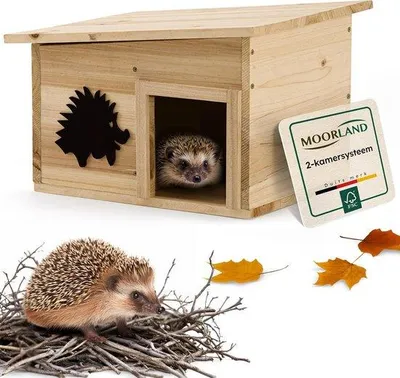 Produktbild von Famanu Igelhaus mit Instekbuis 32 x 26 cm –es Holz, wetterfest, abnehmbares Dach