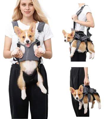 Imagen del producto de Solidchoice: Mochila transportín 5 en 1 para perros y gatos pequeños