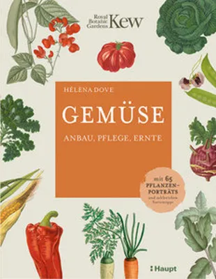Produktbild von Gemüse