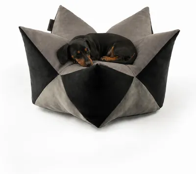 Productafbeelding van lionto Sterrenkussen, stijlvol kussen met een imitatie suède hoes, afneembare hoes, antislip en ademend, 70x38 cm, grijs/zwart
