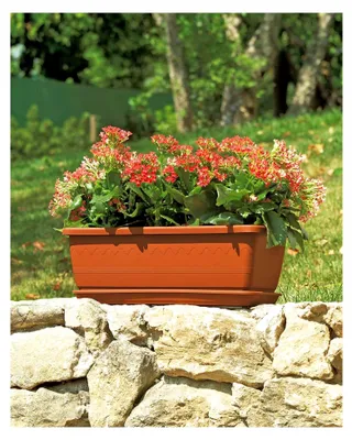 Produktbild von Blumenkasten mit Untersetzer Inis 50 x 20 cm aus Kunststoff (Terrakotta)