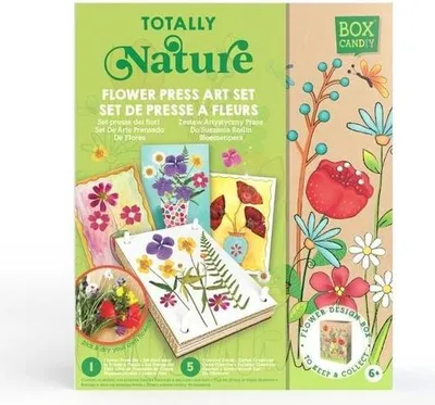 Produktbild von Box Candiy Blumenpresse Lernspielzeug mehrfarbig Kunststoff