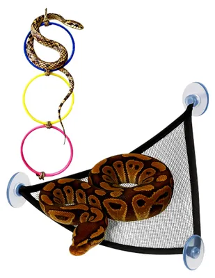 Produktbild von Spielzeug für Schlangen - Hängematten und Kletterringe für Reptilien im Terrarium