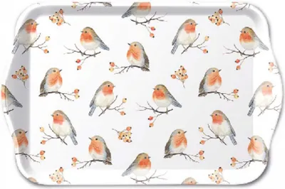 Obrázok produktu pre Ambiente Tablett Robin Mile 13x21cm