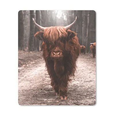 Produktbild von MuchoWow® Mauspad Mousepad Schottischer Hochländer - Wald - Kuh - Tiere - Natur 19x23 cm - Mousepads - Maus Mat - Pad - Mausunterlage - Mauspads - Spielen