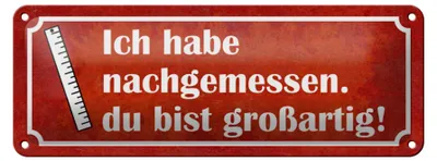 Produktbild von Blechschild Spruch 27x10cm nachgemessen du bist großartig Dekoration