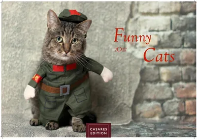 Produktbild von Funny Cats Kalender 2027 - Wandkalender | Fotokalender Tierkalender 24x35cm - Witziger Katzenkalender