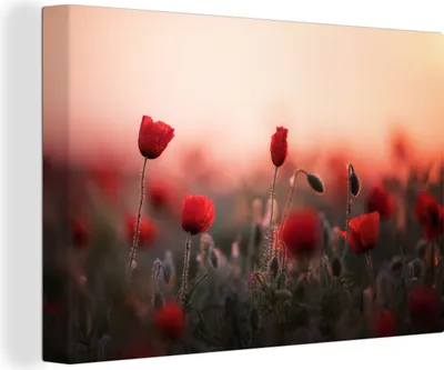 Produktbild von OneMillionCanvasses® - Leinwandbilder - 140x90 cm, Mohnblumen - Blumen - Rot, Wandbilder Kunstdruck Wanddekoration