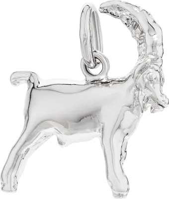 Produktbild von NKlaus Kettenanhänger Sternzeichen Steinbock 925 Silber glanz Anhänger Zodiac Horoshop 14172
