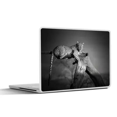 Produktbild von MuchoWow® Laptop Aufkleber Sticker Cover Panther - Baum - Tiere - Schwarz - Weiß 36.5x27.5 cm - Laptop-Sticker