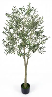 Immagine prodotto di KOMFOTTEU, Albero di ulivo artificiale, 180 cm, con vaso, albero artificiale realistico con 1296 foglie e 72 frutti, decorazione per interni, ideale come regalo, da appendere (1)