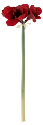 Zdjęcie produktu dla BLOOMINGVILLE | Amaryllis, łodyga, sztuczne kwiaty | 23 cm (szerokość) x 74 cm (wysokość) | 82073043