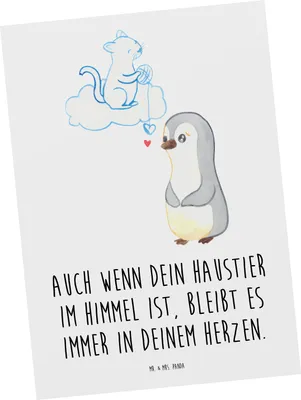 Produktbild von Mr. & Mrs. Panda Postkarte Trauerbewältigung Haustierverlust - Weiß - Geschenk, Trost, Mut, Grußkarte, Ansichtskarte, Zuversicht, einzelkarte, Mutmacher, Ansichtskarten