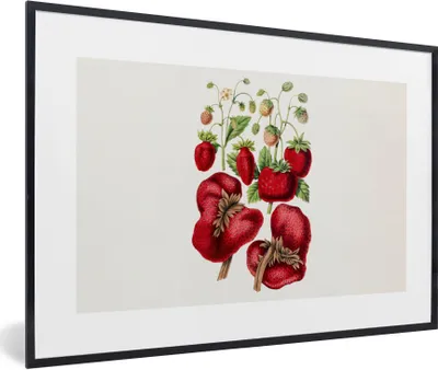 Produktbild von MuchoWow® Gerahmtes Poster Erdbeeren - Obst - Pflanze 90x60 cm - Poster mit Schwarzem Bilderrahmen Wandposter Rahmen Foto Bilder - Fotorahmen - Foto-Plakat