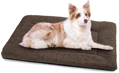Immagine prodotto di Cuccia morbida per cani XL, lavabile, 106x71 cm, marrone, fondo antiscivolo