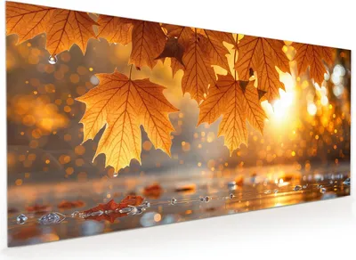 Produktbild von Küchenrückwand Spritzschutz Glas mit Motiv Herbstliche Blätter 40 x 40 cm