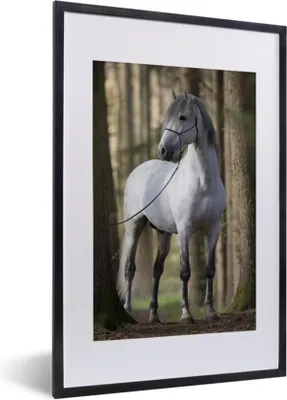 Produktbild von MuchoWow® Gerahmtes Poster Pferd - Andalusier - Weiß 40x60 cm - Poster mit Schwarzem Bilderrahmen Wandposter Rahmen Foto Bilder - Poster in Rahmen