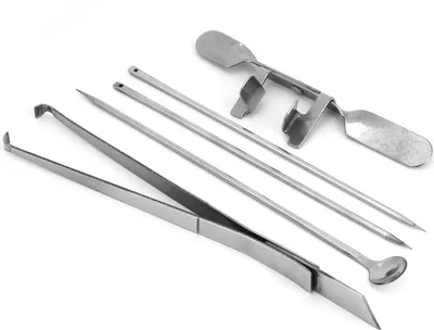 Zdjęcie produktu dla 5Pcs Nóż do kapłonów Zestaw narzędzi ze stali nierdzewnej Fermy drobiu Instrument weterynaryjny do kurczaka
