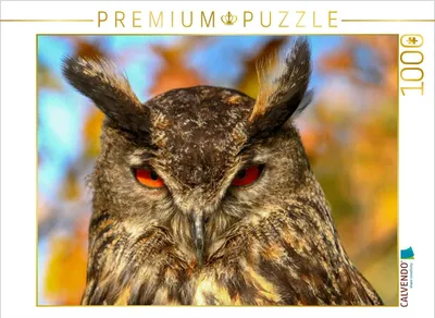 Produktbild von CALVENDO Puzzle Uhu | 1000 Teile Lege-Größe 64x48cm Foto-Puzzle für glückliche Stunden