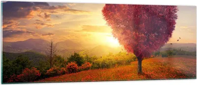 Produktbild von Bilder auf glas - Baum Wiese Blume - 140x50cm - Glasbilder - Wandbilder - Kunstdruck - zum Aufhängen bereit - Wanddekoration aus Glas - Glas Bilder - Wandbild auf Glas - Einteilig - GAB140x50-3790