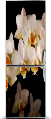 Produktbild von Tulup Kühlschrankdekoration - Magnetmatte - 70 cm x 190 cm - Magnet auf dem Kühlschrank - Orchidee
