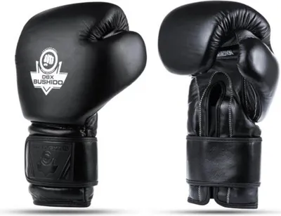 Obrázok produktu pre Boxerské rukavice DBX BUSHIDO B-ProFight 12oz.