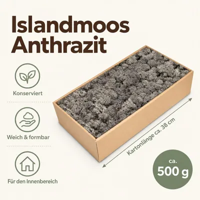 Produktbild von Islandmoos 500g in 30 Farben – Konserviertes Rentiermoos Natur, Farbe:Anthrazit