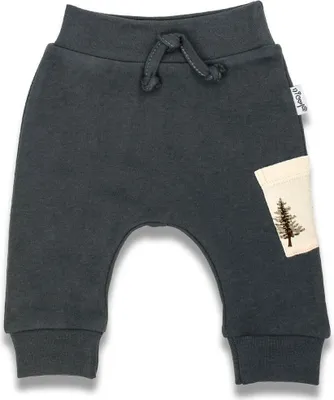 Imagen del producto de Pantalones para bebé Nicol Bambi, color gris, talla 74 (6-9 meses)