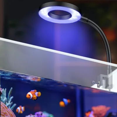 Productafbeelding van 6 W Zoutwater Aquariumlicht voor 3,8 tot 11,4 L, Draagbare LED Verlichting