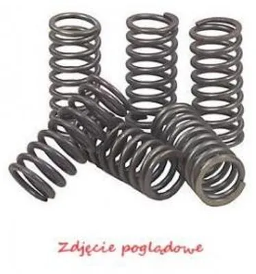 Productafbeelding van Koppelingsveren voor Suzuki GSF 1200 SFK7 Bandit Streetfighter (2007-2009)